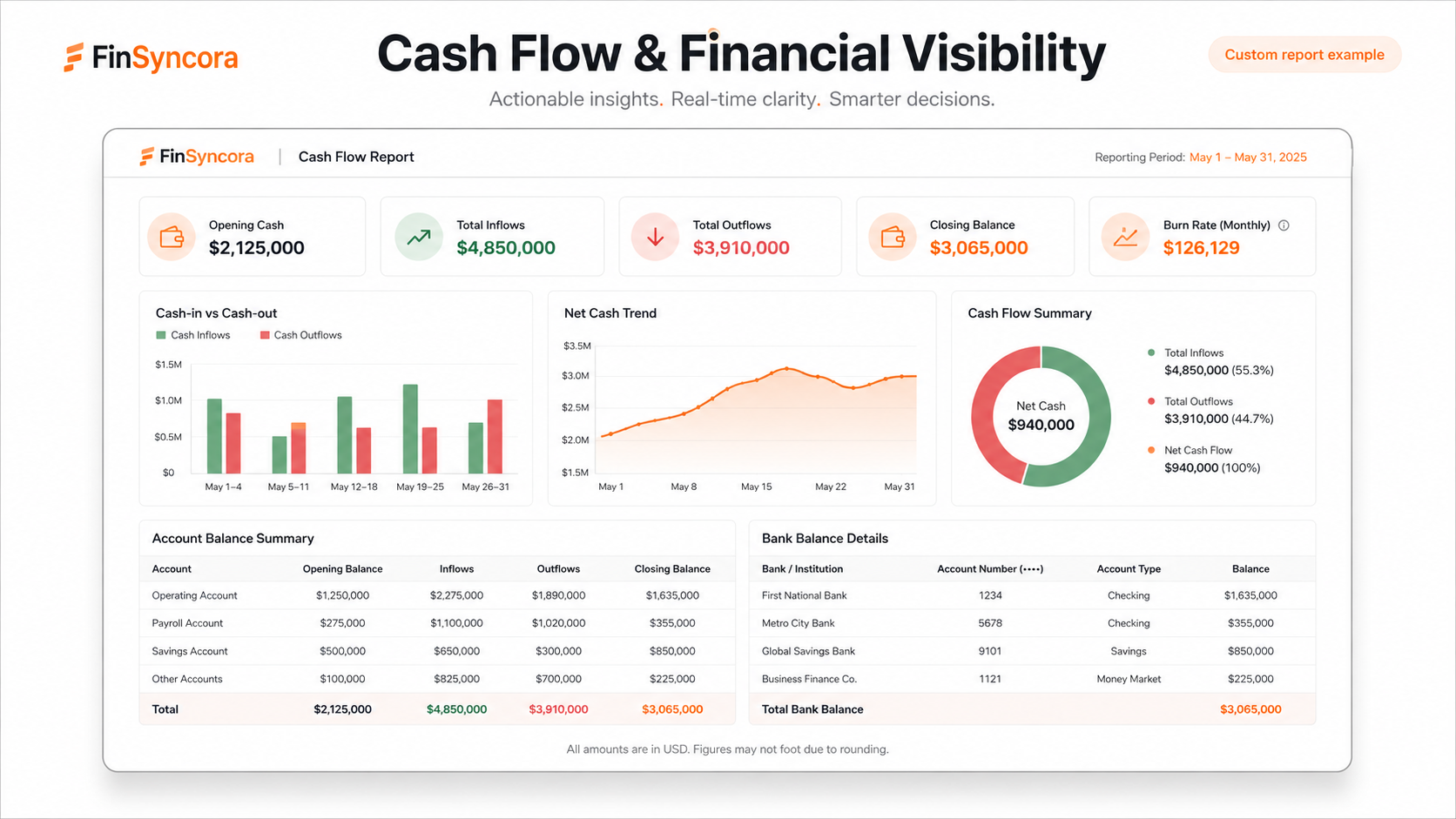 Sample custom Cash Flow and Financial Visibility report preview